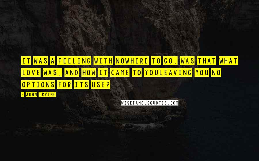 John Irving Quotes: It was a feeling with nowhere to go. Was that what love was, and how it came to youleaving you no options for its use?