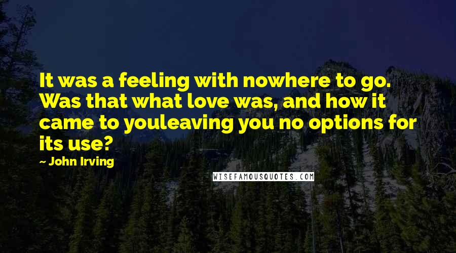 John Irving Quotes: It was a feeling with nowhere to go. Was that what love was, and how it came to youleaving you no options for its use?