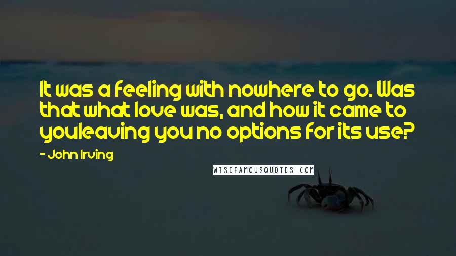 John Irving Quotes: It was a feeling with nowhere to go. Was that what love was, and how it came to youleaving you no options for its use?