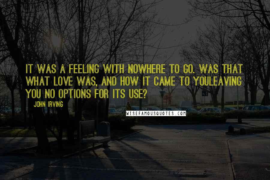 John Irving Quotes: It was a feeling with nowhere to go. Was that what love was, and how it came to youleaving you no options for its use?