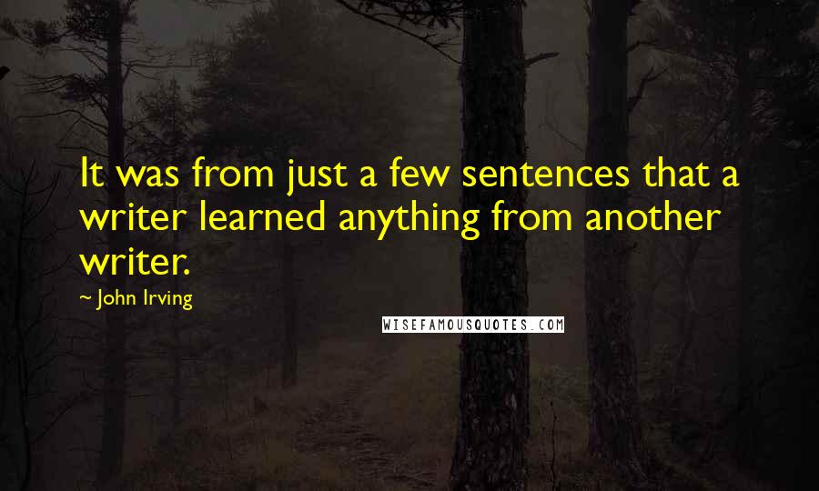 John Irving Quotes: It was from just a few sentences that a writer learned anything from another writer.