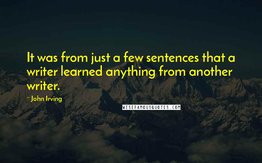 John Irving Quotes: It was from just a few sentences that a writer learned anything from another writer.