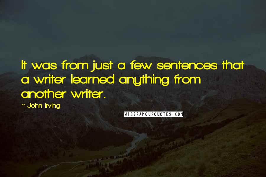 John Irving Quotes: It was from just a few sentences that a writer learned anything from another writer.