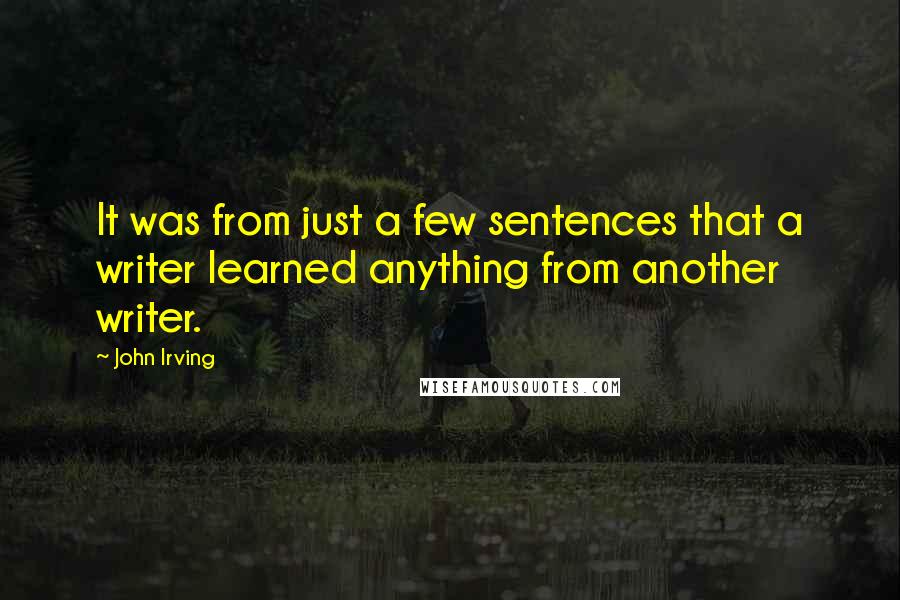 John Irving Quotes: It was from just a few sentences that a writer learned anything from another writer.