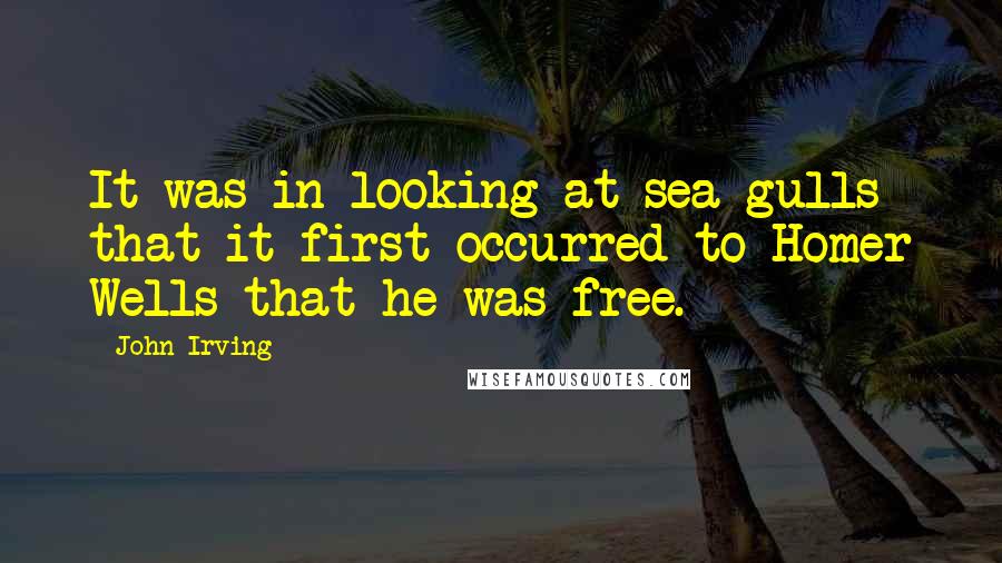 John Irving Quotes: It was in looking at sea gulls that it first occurred to Homer Wells that he was free.