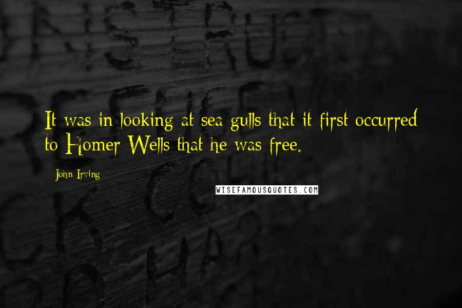 John Irving Quotes: It was in looking at sea gulls that it first occurred to Homer Wells that he was free.