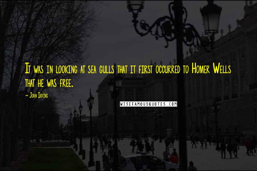 John Irving Quotes: It was in looking at sea gulls that it first occurred to Homer Wells that he was free.