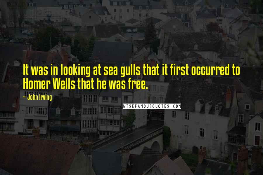 John Irving Quotes: It was in looking at sea gulls that it first occurred to Homer Wells that he was free.