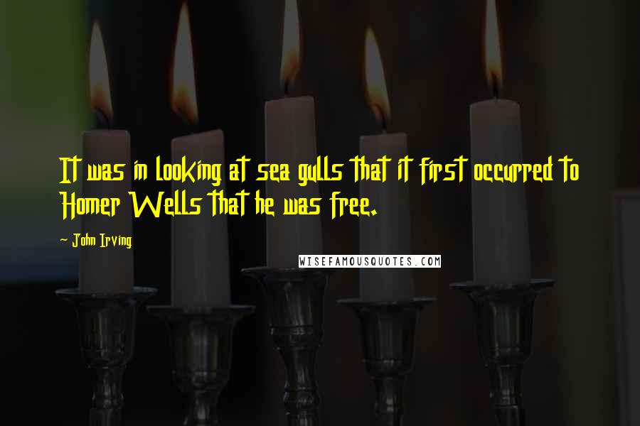 John Irving Quotes: It was in looking at sea gulls that it first occurred to Homer Wells that he was free.