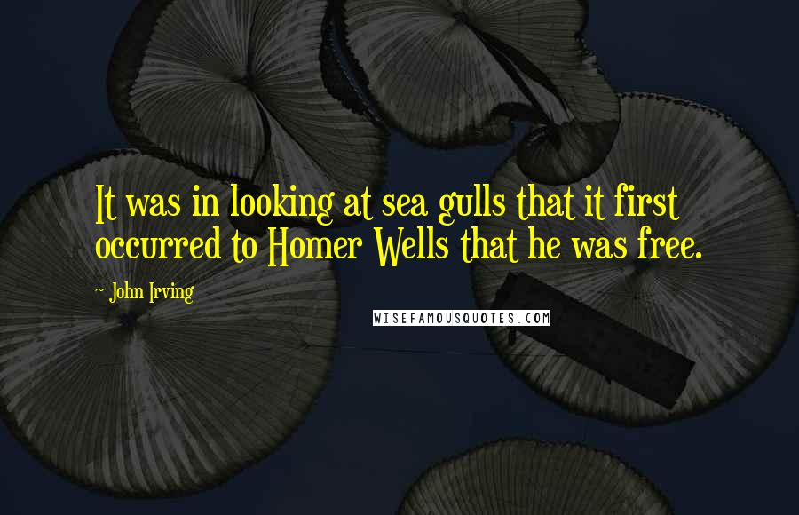 John Irving Quotes: It was in looking at sea gulls that it first occurred to Homer Wells that he was free.