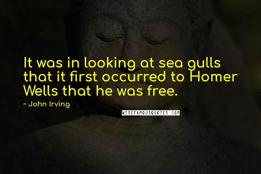 John Irving Quotes: It was in looking at sea gulls that it first occurred to Homer Wells that he was free.