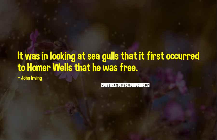 John Irving Quotes: It was in looking at sea gulls that it first occurred to Homer Wells that he was free.