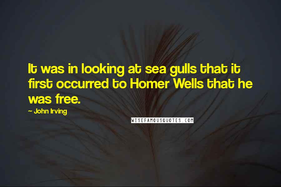 John Irving Quotes: It was in looking at sea gulls that it first occurred to Homer Wells that he was free.