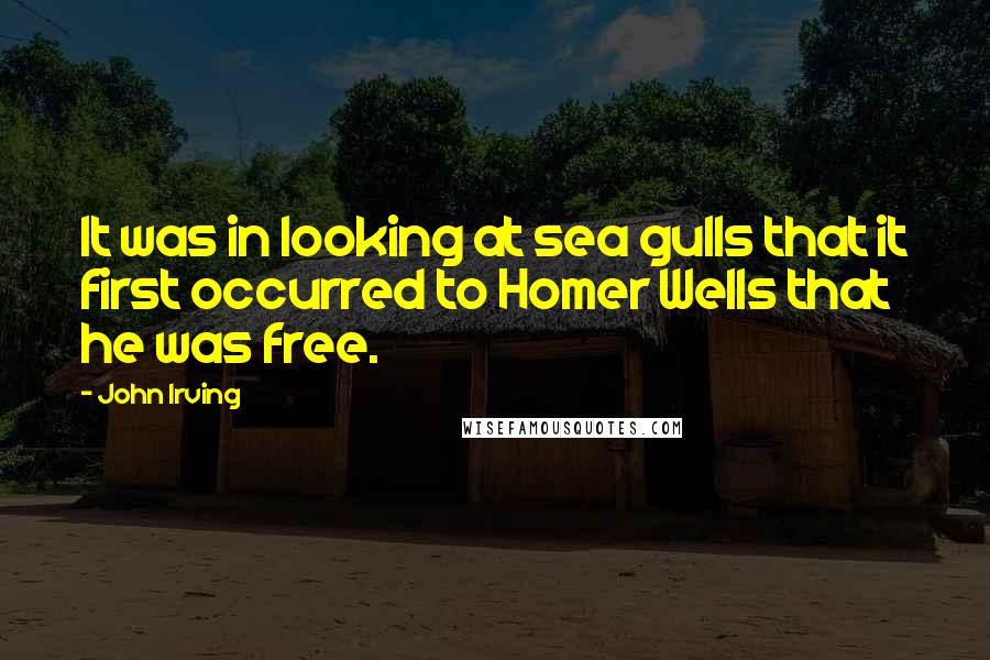 John Irving Quotes: It was in looking at sea gulls that it first occurred to Homer Wells that he was free.