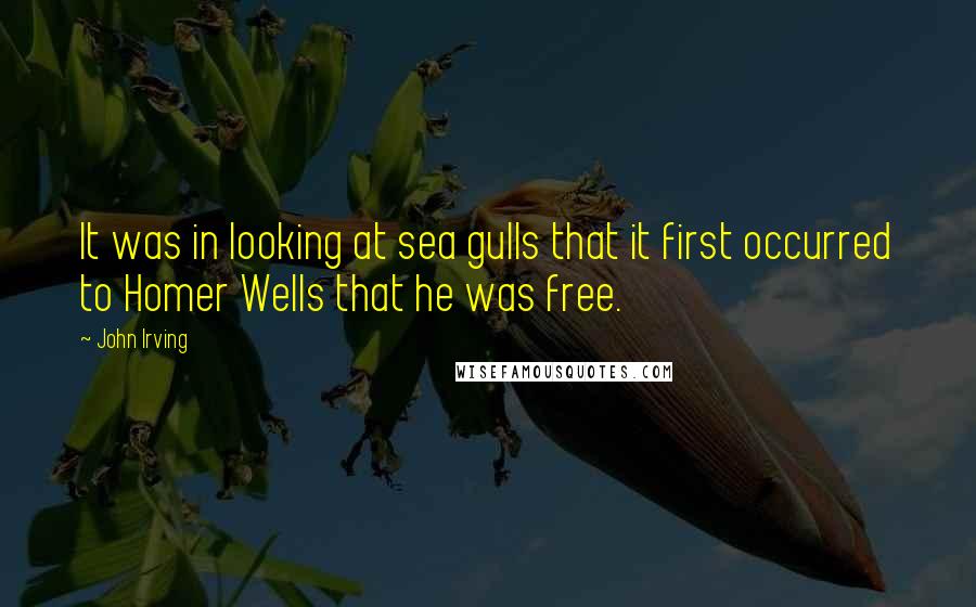 John Irving Quotes: It was in looking at sea gulls that it first occurred to Homer Wells that he was free.