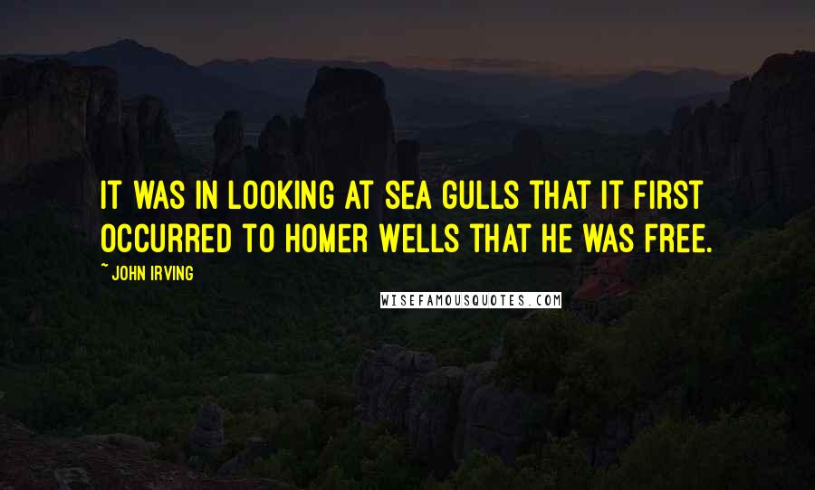 John Irving Quotes: It was in looking at sea gulls that it first occurred to Homer Wells that he was free.