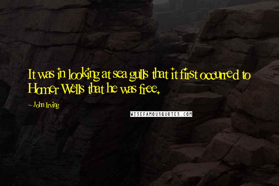 John Irving Quotes: It was in looking at sea gulls that it first occurred to Homer Wells that he was free.