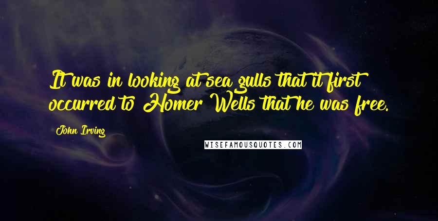 John Irving Quotes: It was in looking at sea gulls that it first occurred to Homer Wells that he was free.