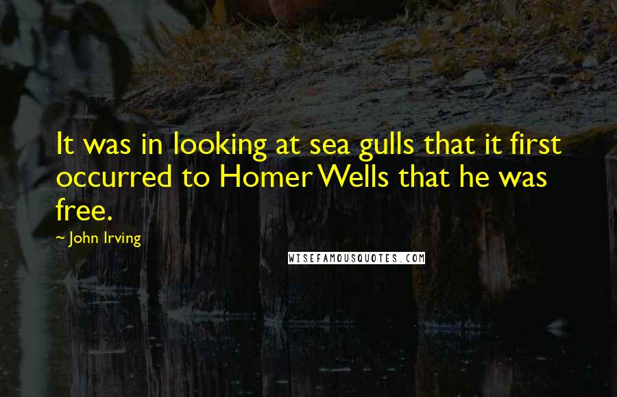 John Irving Quotes: It was in looking at sea gulls that it first occurred to Homer Wells that he was free.