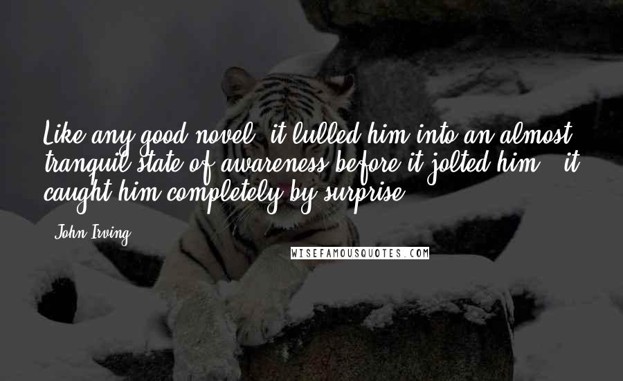 John Irving Quotes: Like any good novel, it lulled him into an almost tranquil state of awareness before it jolted him - it caught him completely by surprise.