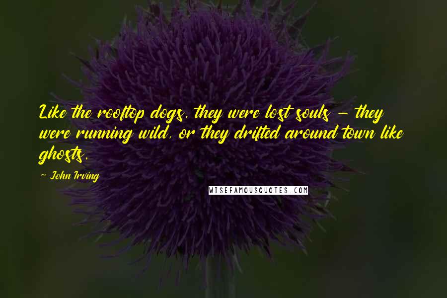 John Irving Quotes: Like the rooftop dogs, they were lost souls - they were running wild, or they drifted around town like ghosts.