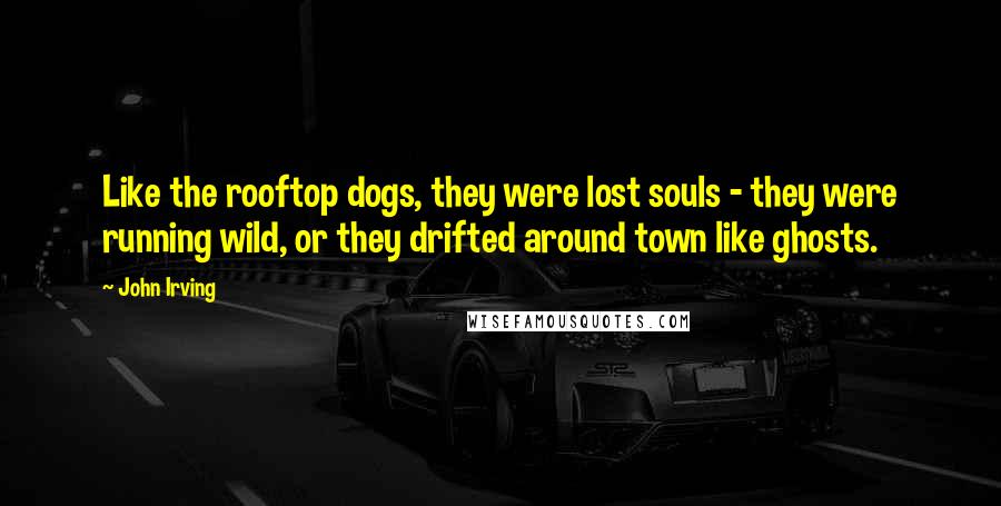 John Irving Quotes: Like the rooftop dogs, they were lost souls - they were running wild, or they drifted around town like ghosts.