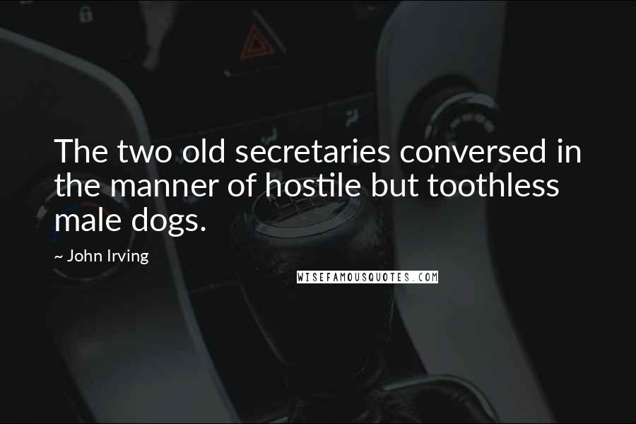 John Irving Quotes: The two old secretaries conversed in the manner of hostile but toothless male dogs.