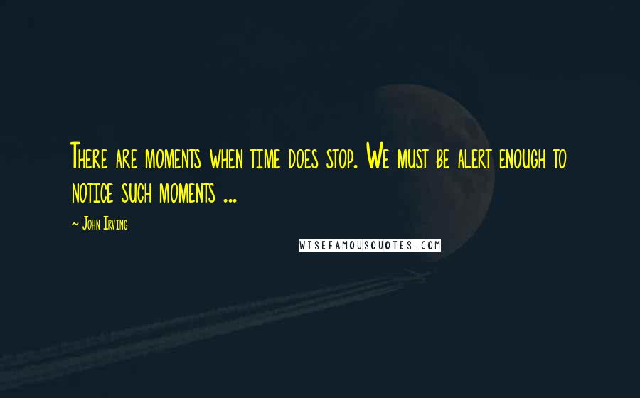 John Irving Quotes: There are moments when time does stop. We must be alert enough to notice such moments ...