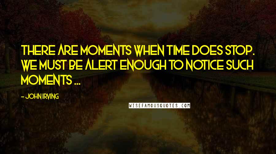 John Irving Quotes: There are moments when time does stop. We must be alert enough to notice such moments ...