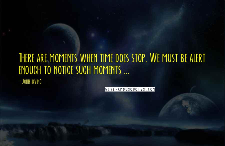 John Irving Quotes: There are moments when time does stop. We must be alert enough to notice such moments ...