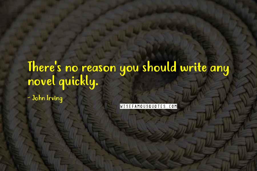 John Irving Quotes: There's no reason you should write any novel quickly.