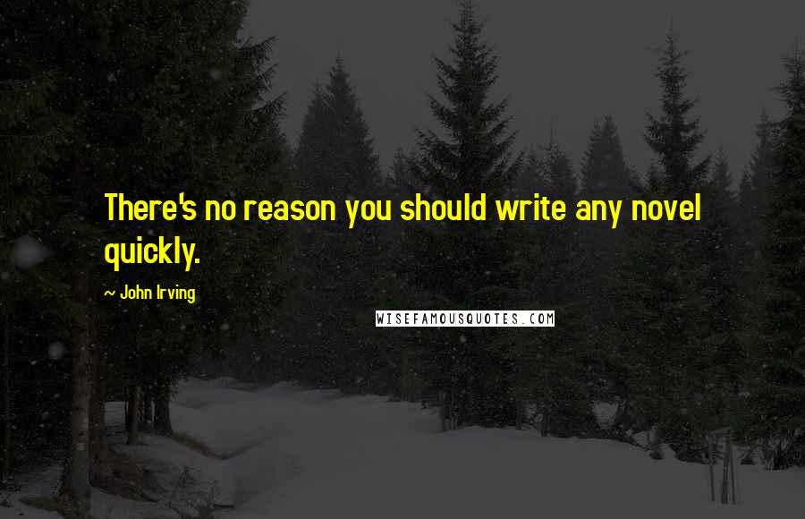 John Irving Quotes: There's no reason you should write any novel quickly.