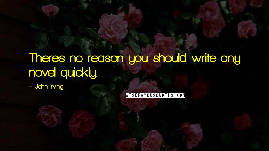 John Irving Quotes: There's no reason you should write any novel quickly.