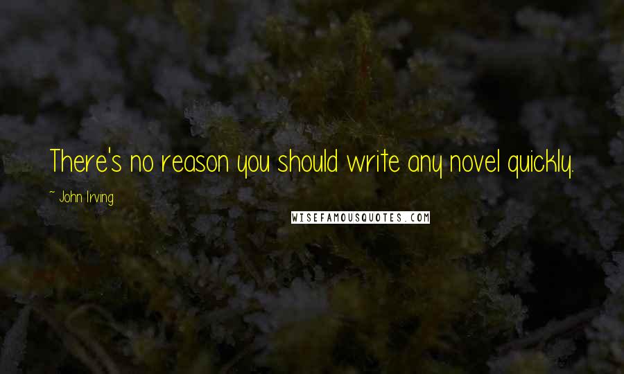 John Irving Quotes: There's no reason you should write any novel quickly.