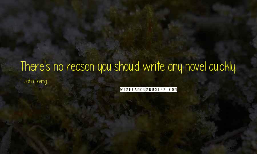 John Irving Quotes: There's no reason you should write any novel quickly.