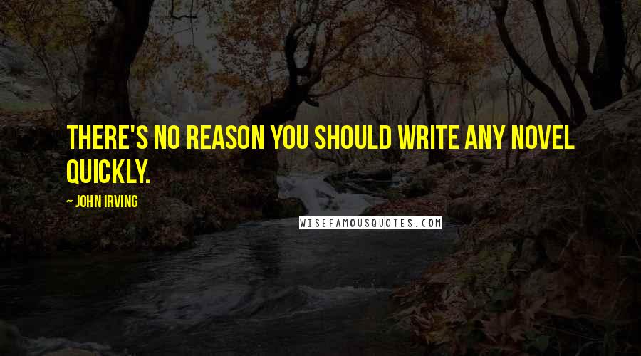 John Irving Quotes: There's no reason you should write any novel quickly.