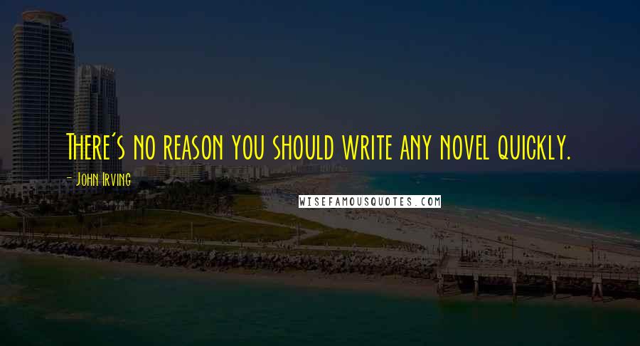 John Irving Quotes: There's no reason you should write any novel quickly.