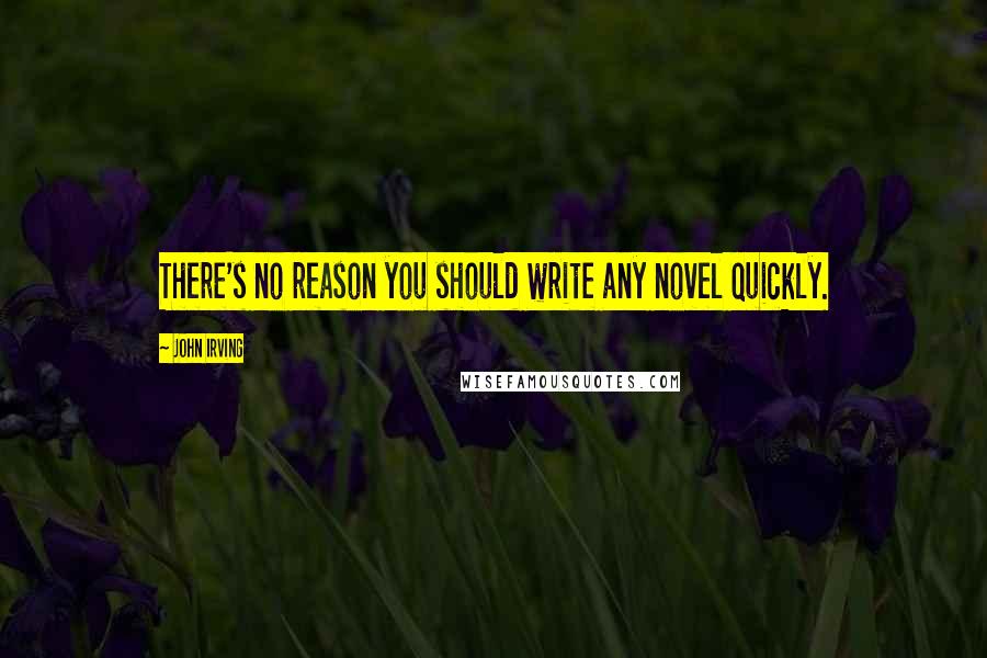 John Irving Quotes: There's no reason you should write any novel quickly.