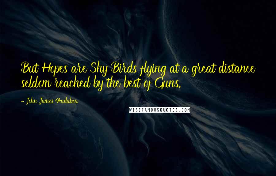 John James Audubon Quotes: But Hopes are Shy Birds flying at a great distance seldom reached by the best of Guns.