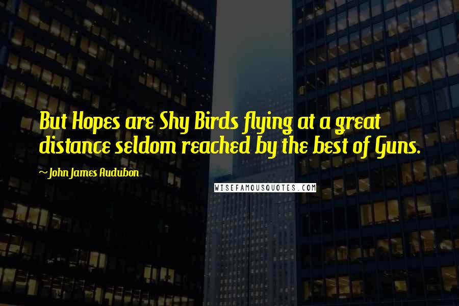 John James Audubon Quotes: But Hopes are Shy Birds flying at a great distance seldom reached by the best of Guns.