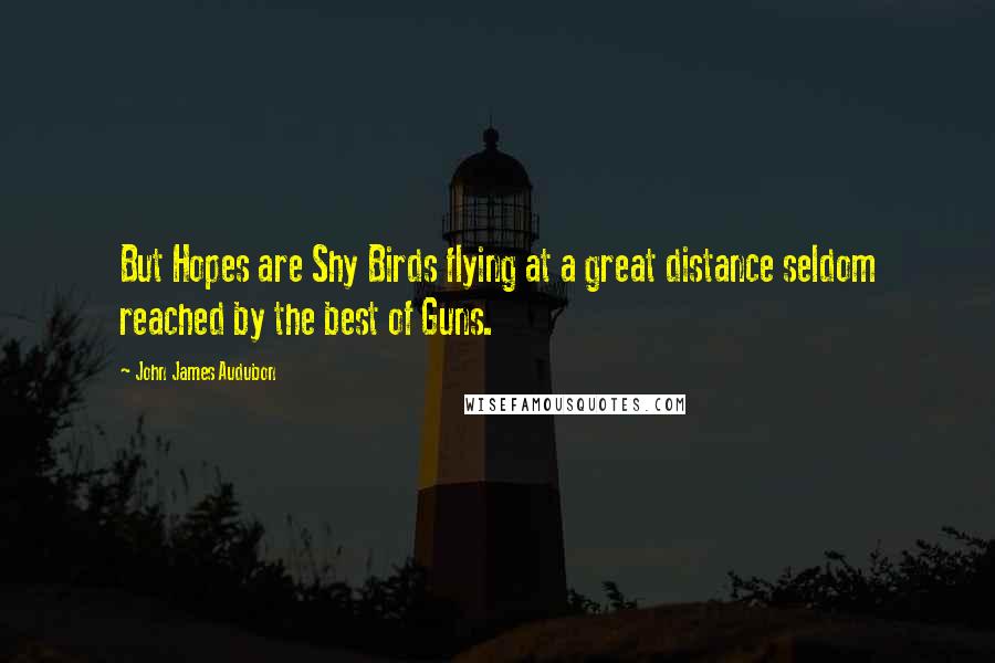 John James Audubon Quotes: But Hopes are Shy Birds flying at a great distance seldom reached by the best of Guns.