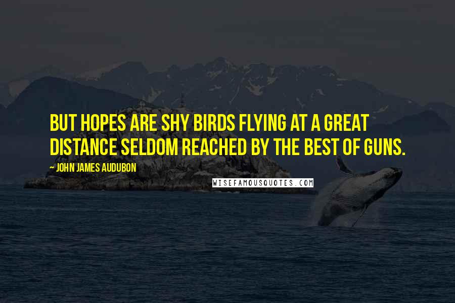 John James Audubon Quotes: But Hopes are Shy Birds flying at a great distance seldom reached by the best of Guns.