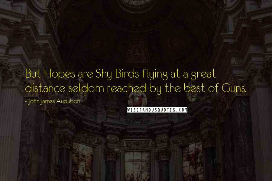 John James Audubon Quotes: But Hopes are Shy Birds flying at a great distance seldom reached by the best of Guns.