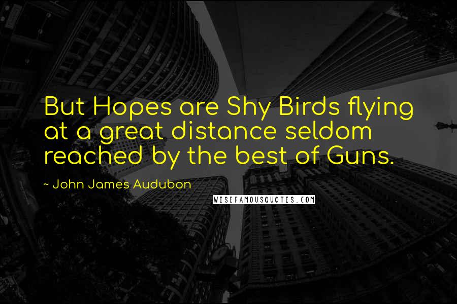 John James Audubon Quotes: But Hopes are Shy Birds flying at a great distance seldom reached by the best of Guns.