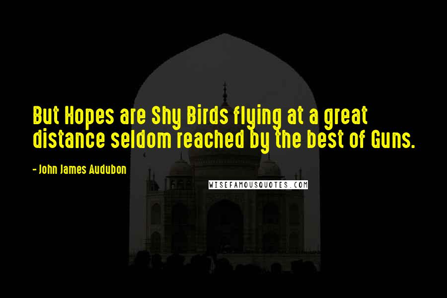 John James Audubon Quotes: But Hopes are Shy Birds flying at a great distance seldom reached by the best of Guns.