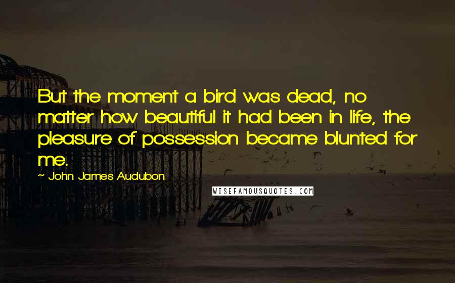 John James Audubon Quotes: But the moment a bird was dead, no matter how beautiful it had been in life, the pleasure of possession became blunted for me.