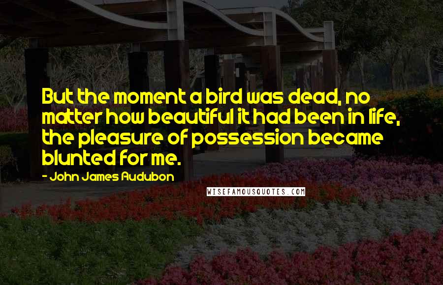 John James Audubon Quotes: But the moment a bird was dead, no matter how beautiful it had been in life, the pleasure of possession became blunted for me.