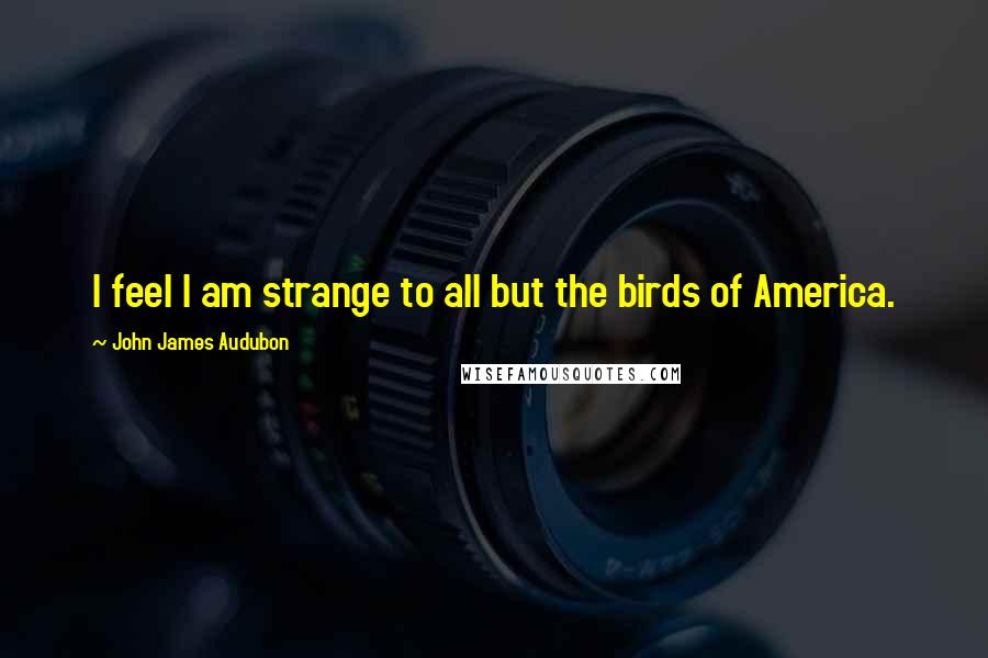 John James Audubon Quotes: I feel I am strange to all but the birds of America.