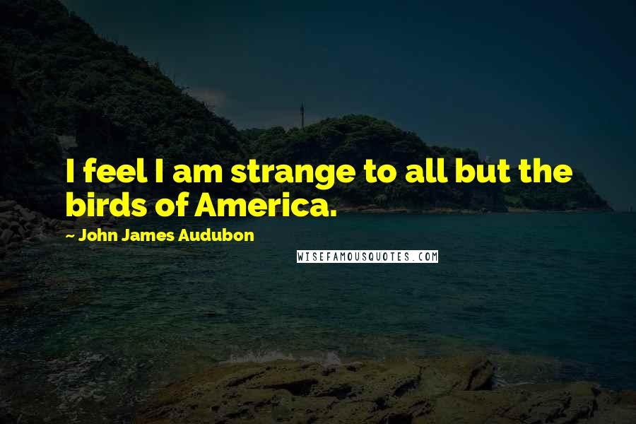 John James Audubon Quotes: I feel I am strange to all but the birds of America.