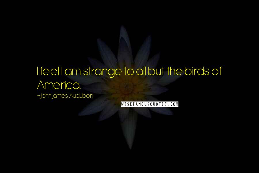 John James Audubon Quotes: I feel I am strange to all but the birds of America.